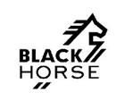 th logo blackhorse (copy)