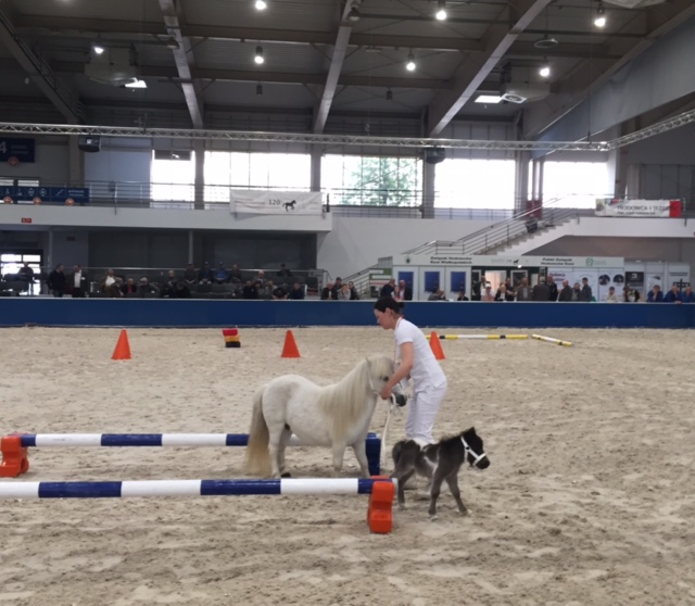 Truijtie i Tony